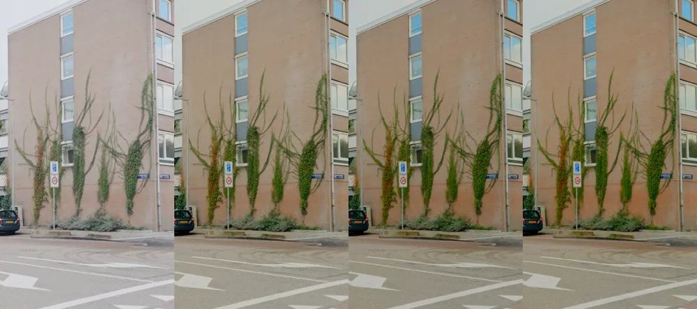 A tone ladder: the same frame of the ivy-covered building side by side four times, each step a different tone setting, from flat and pale to denser contrast