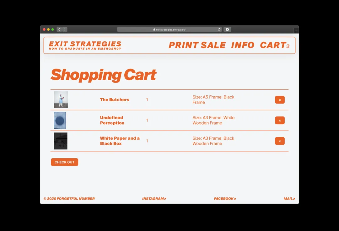 The shopping cart: three prints listed with their sizes and frames, and a check-out button