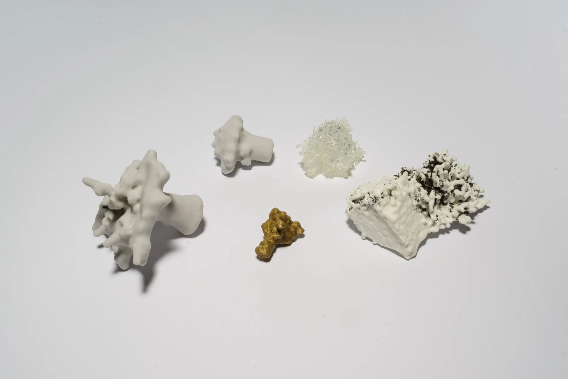 Five 3D prints on a white surface: two branching grey forms, a small gold one, a clear resin cluster of beads and a white block breaking into coral-like growth